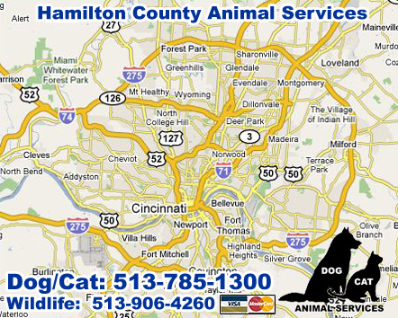 Hamilton County Animal Control Services Ohio